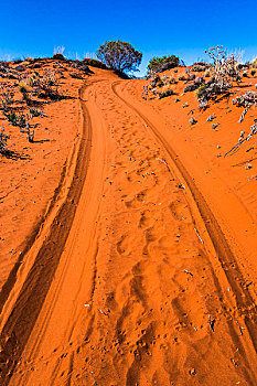 土路,乌卢鲁卡塔曲塔国家公园,北领地州,澳大利亚