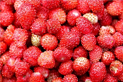 美味,草莓