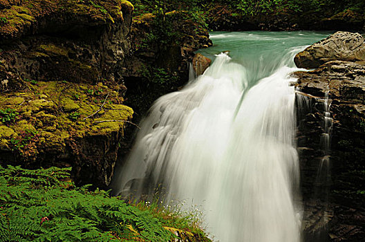 瀑布,贝克山-斯诺夸尔米国家森林公园,华盛顿,美国