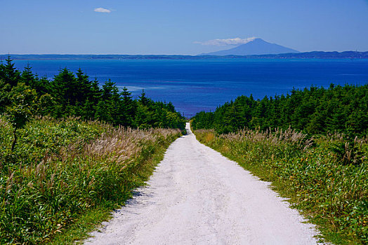 白色,道路