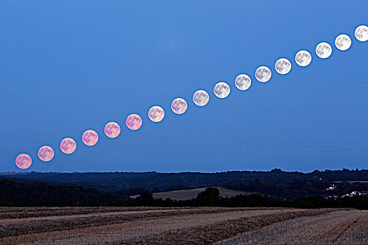 法国,塞纳河,普罗旺斯,最大,满月,月亮,图像,八月,晚上,玫瑰园,展示,月出