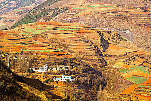 东川红土地