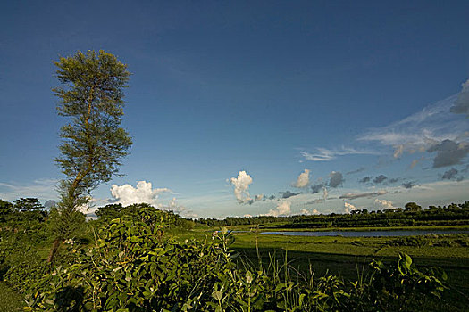 风景,孟加拉,六月,2007年