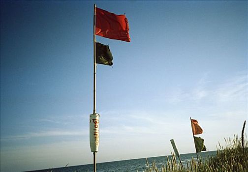 旗帜,海滩