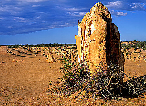 顶峰,石灰石,南邦国家公园,西澳大利亚州