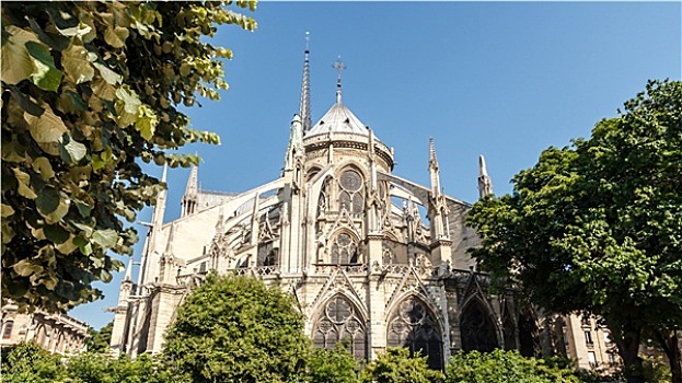 圣母大教堂,巴黎,法国