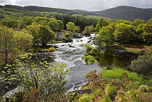 河,黑谷,间隙,基拉尼国家公园,凯瑞郡,爱尔兰,英国,欧洲