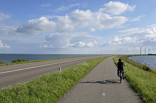 男孩,骑自行车,自行车道,阿姆斯特丹,荷兰