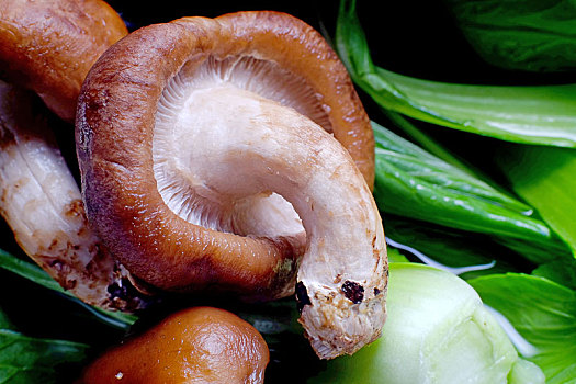 香菇油菜食材