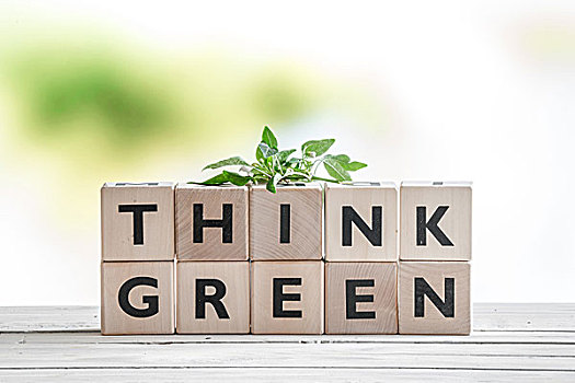 思考,绿色,标识,植物,木桌子