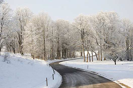 积雪,道路,冬天,上巴伐利亚,巴伐利亚,德国,欧洲