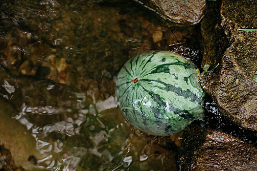 夏天小溪里的西瓜
