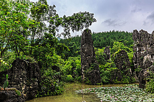 贵州安顺天星桥景区