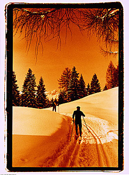 后视图,越野滑雪,日落