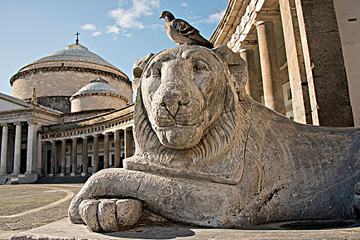 意大利,那不勒斯,广场,狮子,雕塑,正面,历史,教堂,印象深刻,柱廊,大幅,尺寸