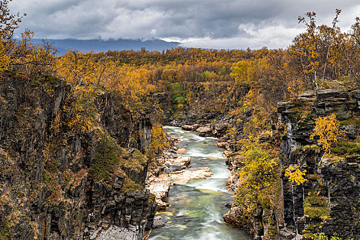 峡谷,秋天,河,国家公园,北博滕省,拉普兰,瑞典,欧洲