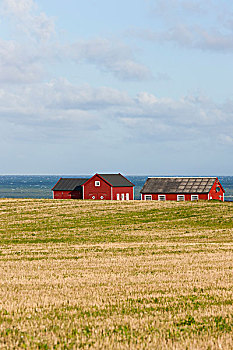 红色,房子,丹麦,西海岸