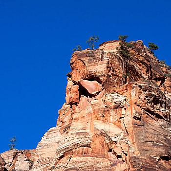 岩石,锡安国家公园