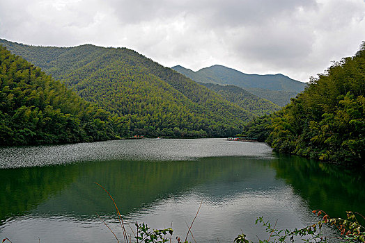 天目湖南山竹海