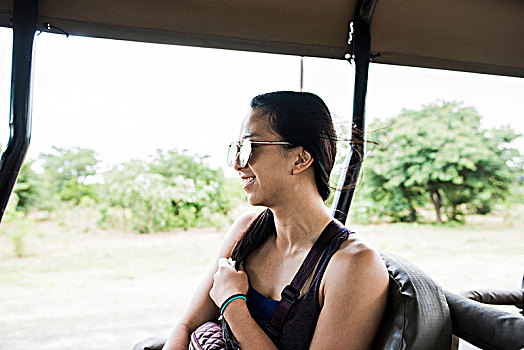 美女,游客,向外看,巴士,游戏,驾驶,旅游,博茨瓦纳,非洲