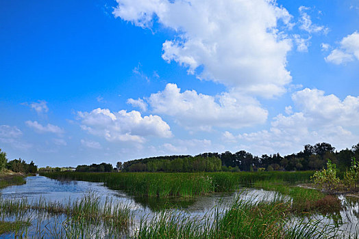 辛安河风光