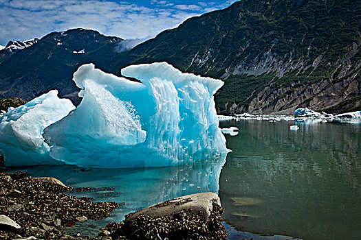 景色,冰山,冰河,小湾,冰河湾国家公园,保存,东南阿拉斯加,夏天