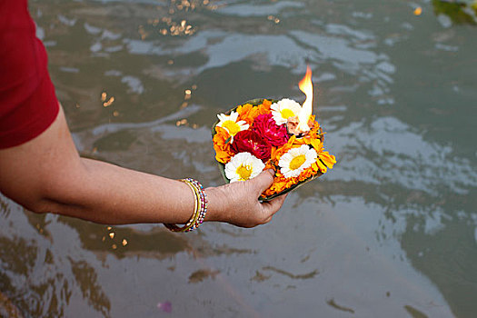 印度,女人,漂浮,花,灯
