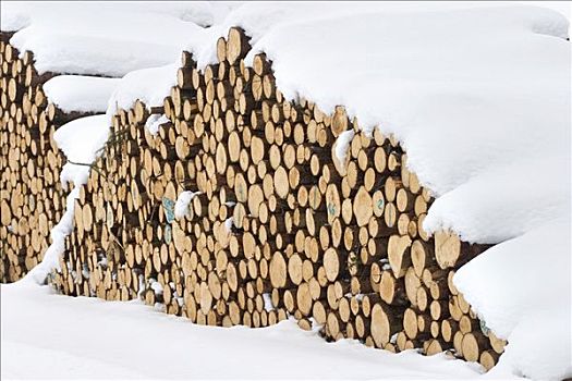 两个,积雪,堆积,木柴