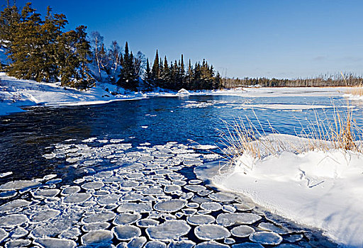 冰,白贝,河,怀特雪尔省立公园,曼尼托巴,加拿大