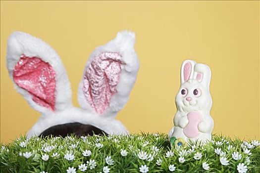 复活节兔子,兔耳