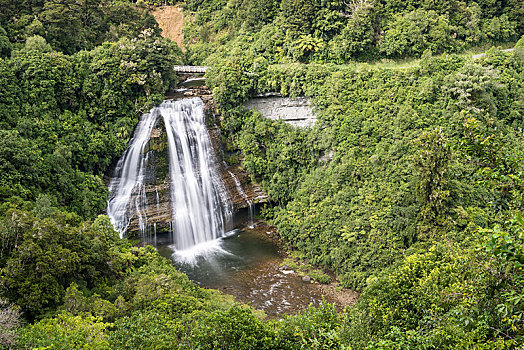 瀑布,雨林,乌雷威拉国家公园,北岛,新西兰,大洋洲