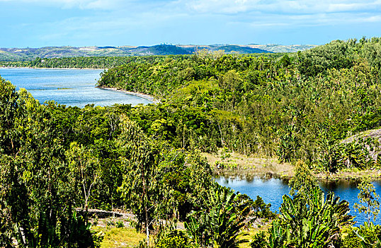 风景,湖,树林,自然保护区,东海岸,马达加斯加