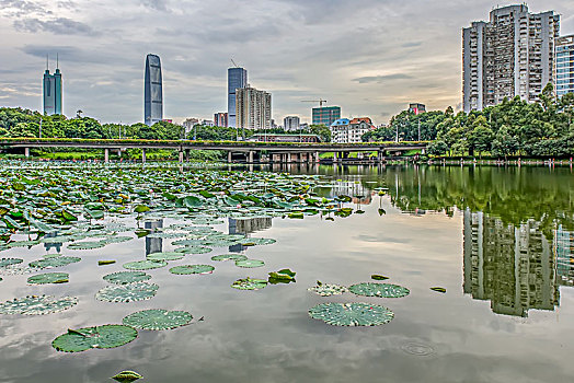 深圳洪湖公园城市风光