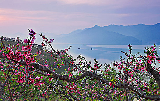 丹东桃花岛