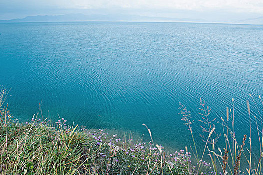 新疆赛里木湖旖旎风光