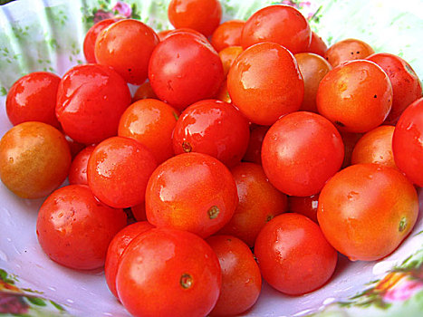 背景,红色,小,成熟,西红柿