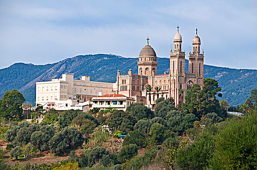 大教堂,阿尔及利亚,非洲