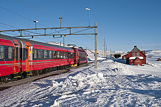 火车站,红色,车站,建筑,山,铁路,奥斯陆,高原,积雪,山景,冬天,霍达兰,挪威