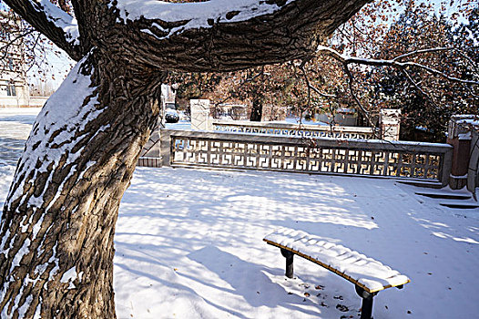 雪景,庙宇,雪,除雪