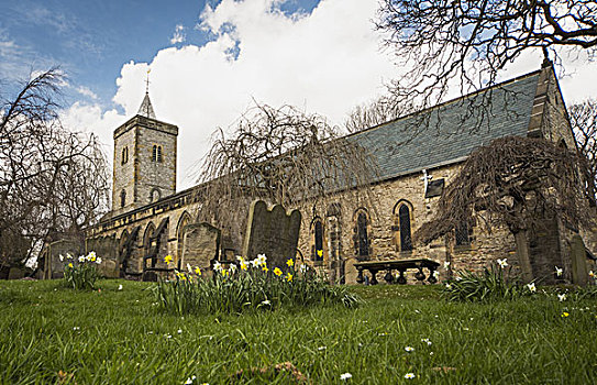 野花,院子,老,教堂建筑,泰恩-威尔,英格兰