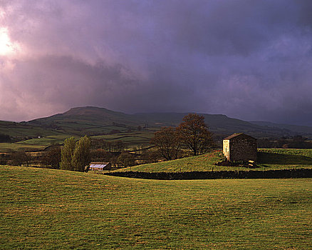 英格兰,北约克郡,风景,落下,背景,谷仓,卧,靠近,约克郡溪谷国家公园