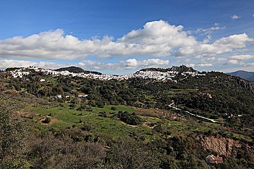 安达卢西亚,刷白,乡村,西班牙