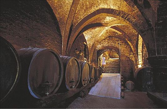 地窖,木质,葡萄酒桶,法国,欧洲,葡萄酒,藤