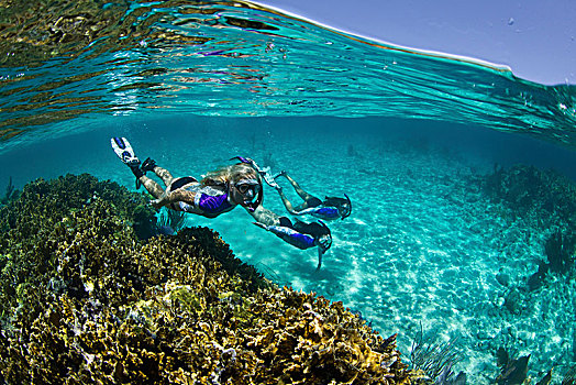 上方,三个,水下呼吸管,水下,礁石,靠近,新普罗维登斯,巴哈马
