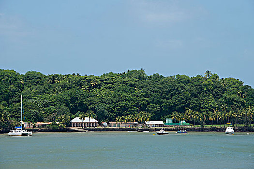 法属圭亚那,岛屿,俯视,家,流放地,大幅,尺寸