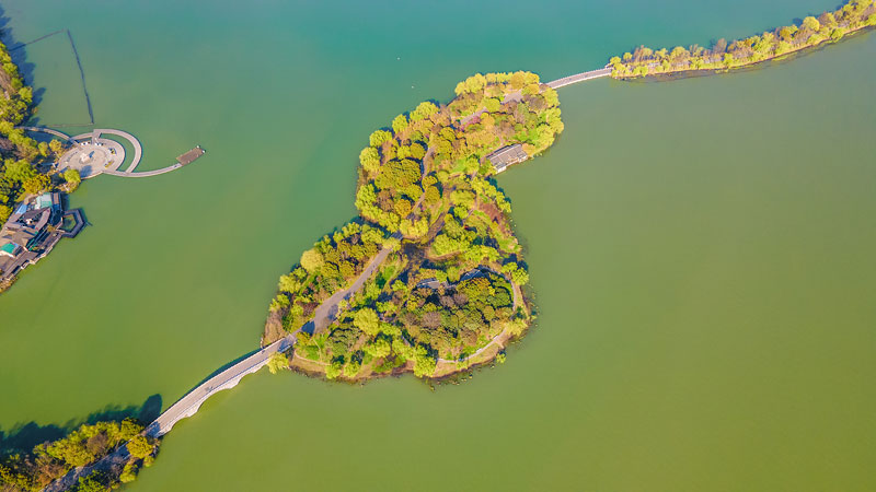 阳谷南湖俯瞰图图片