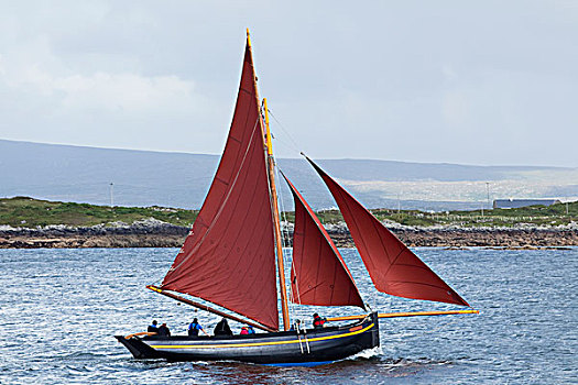 帆船,水,赛舟会,戈尔韦郡,爱尔兰