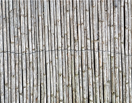 竹子,栅栏