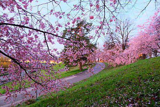 munich慕尼黑olympia,park