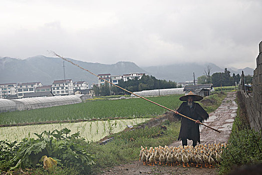 云河古村